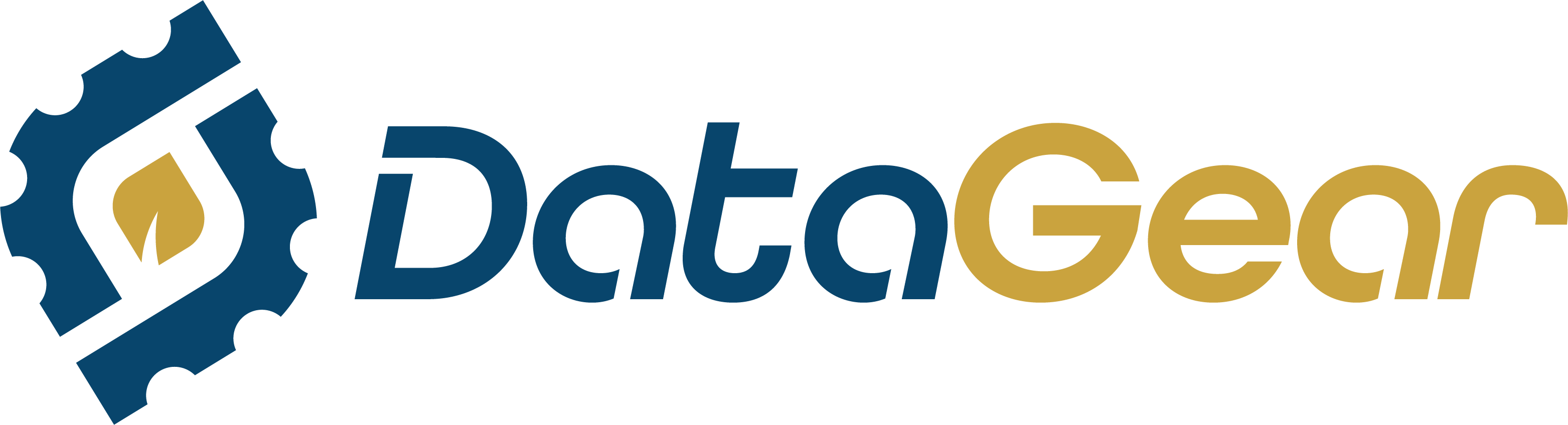 DataGear®